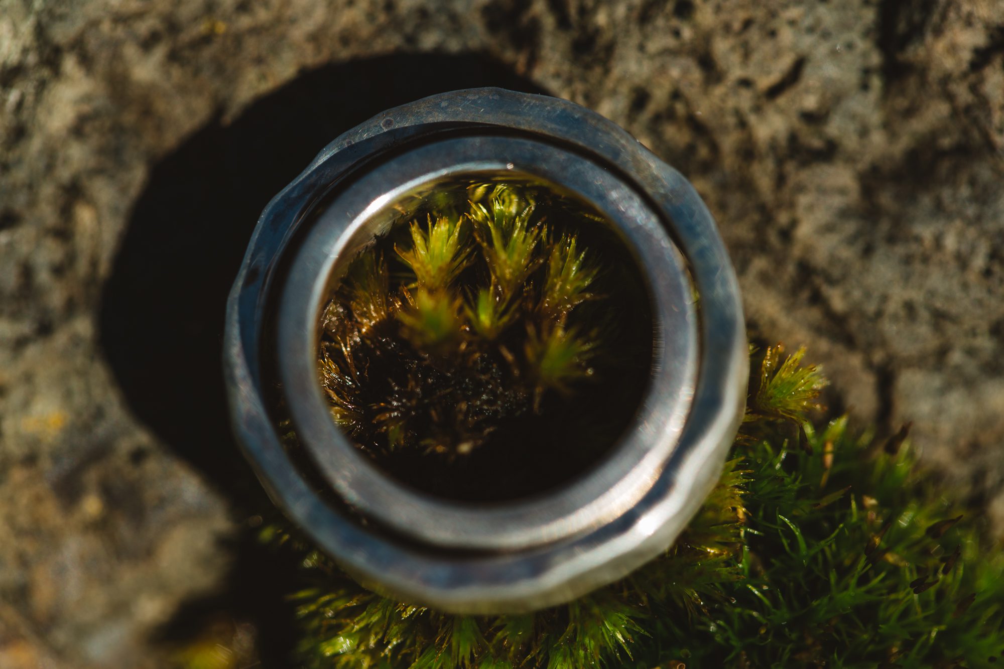 handmade wedding rings on moss