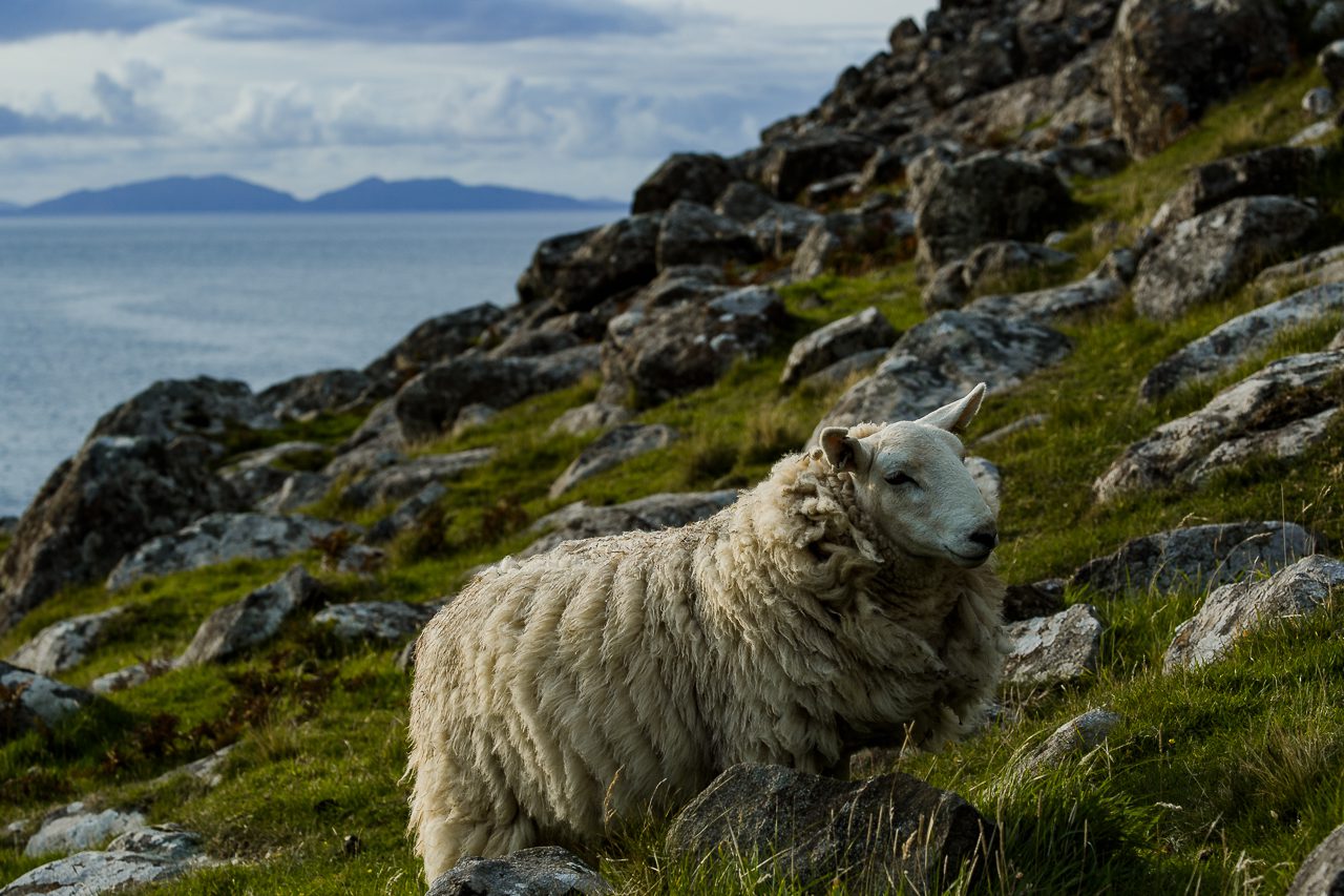 Proposal photography at Neist Point Isle of Skye