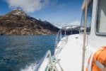 Boat trip Isle of Skye