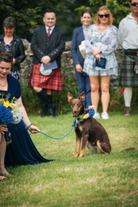 Dogs at Isle of Skye elopement weddings