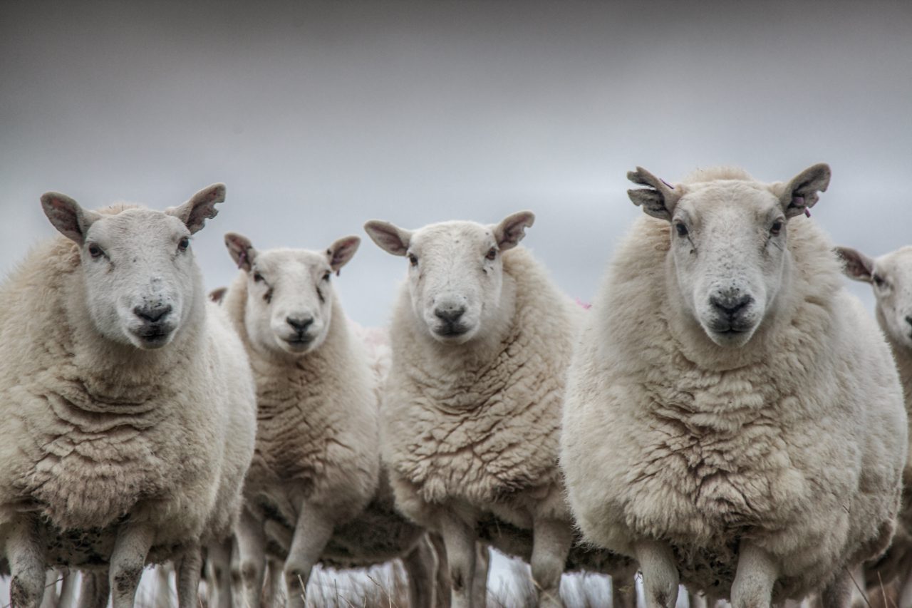 Isle of Skye photo tuition